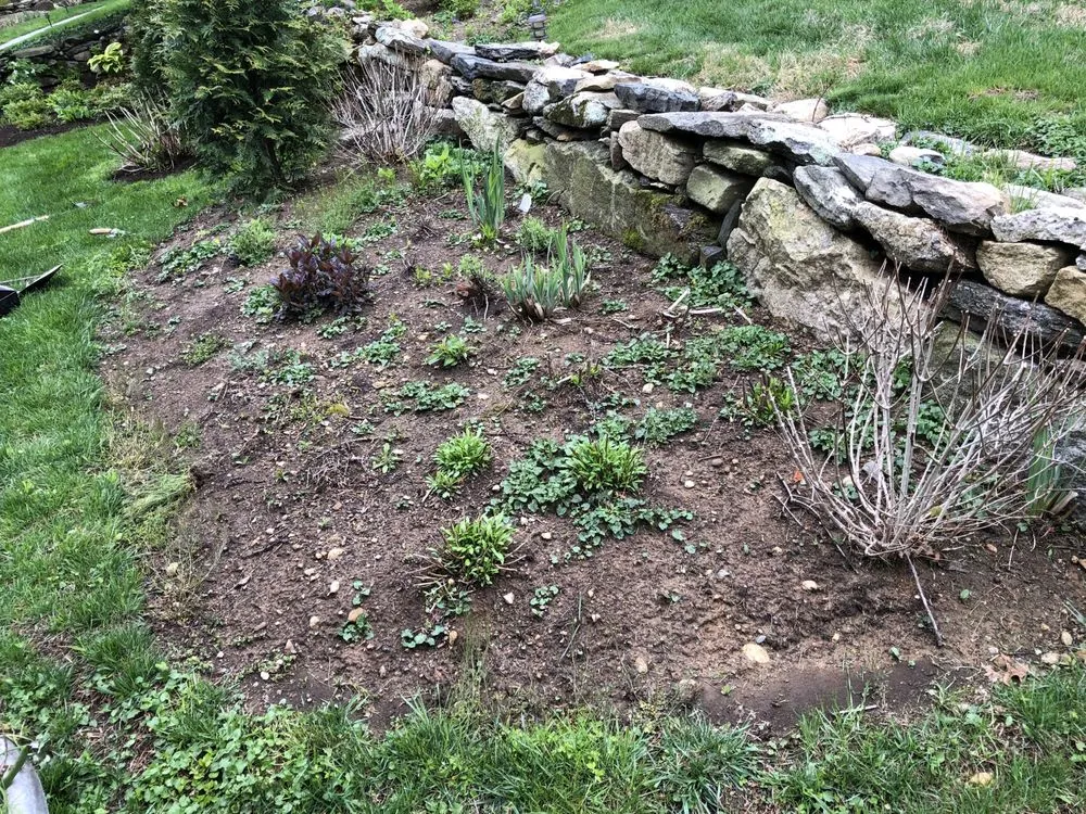 Expert lawn care service experts serving Bridgeport, CT - Aguilar Landscaping