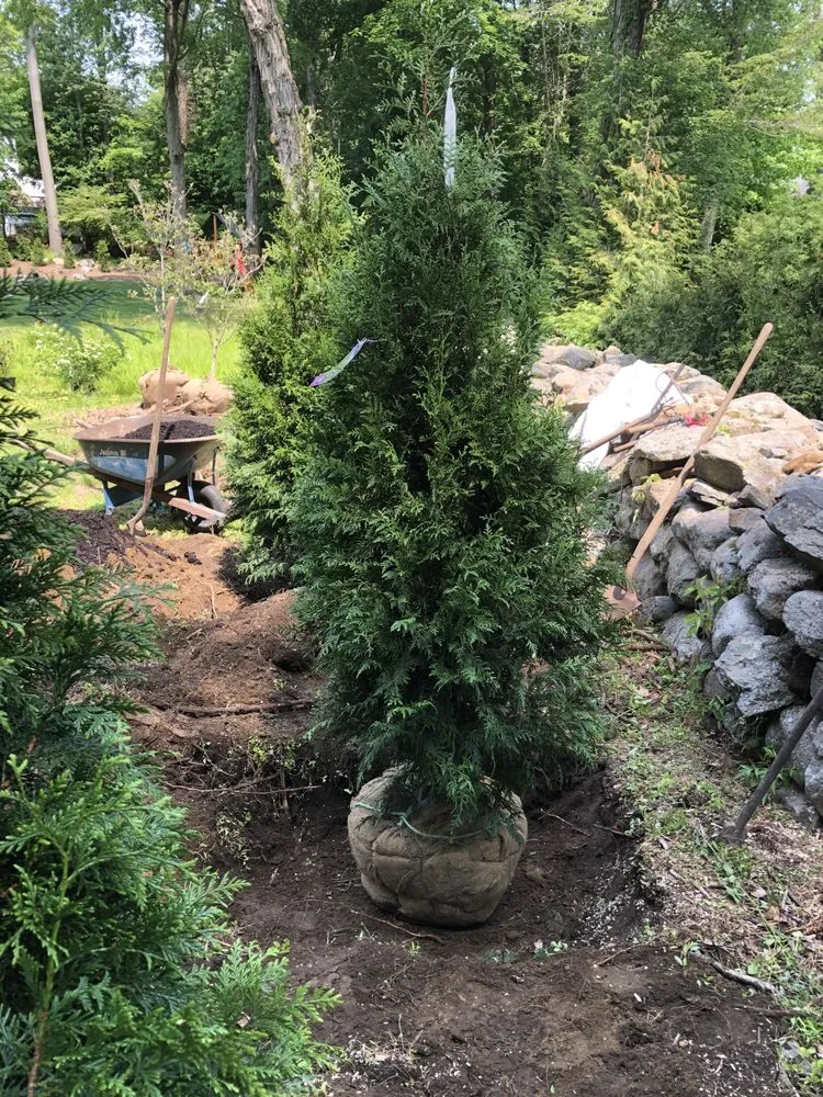 Professional landscape installation in Bridgeport, CT - Aguilar Landscaping