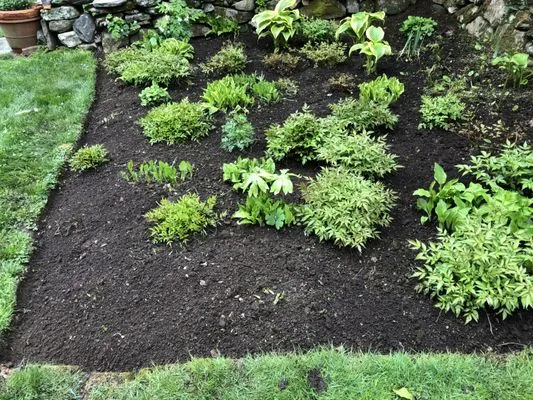 Aguilar Landscaping Logo