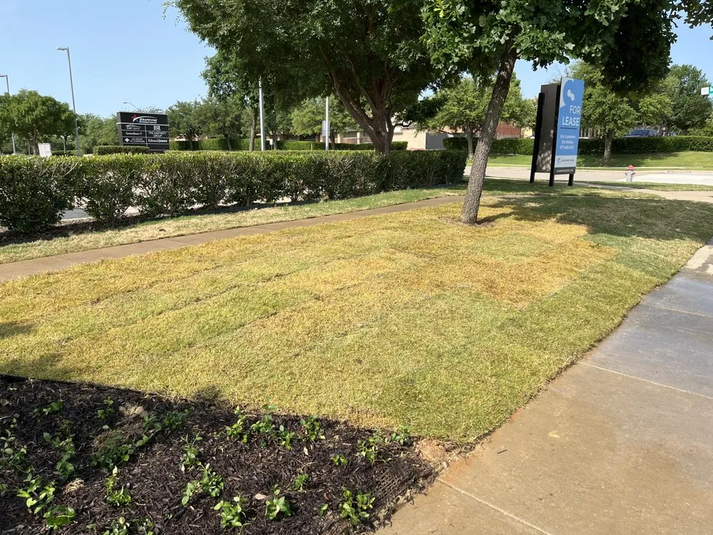 Custom residential landscaping for beautiful yards across Dallas, TX - Aguilar Landscaping