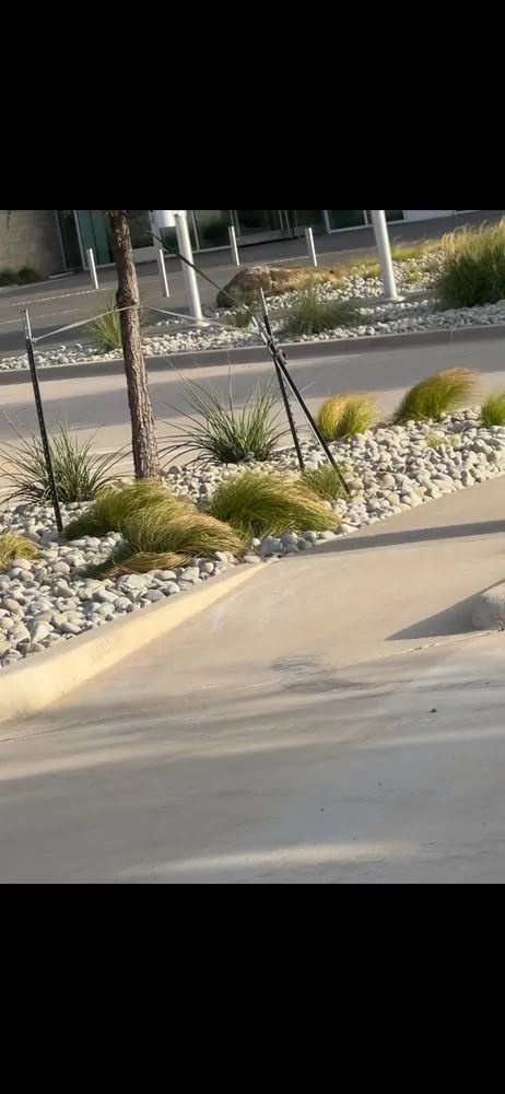 Expert outdoor landscaping for residential properties in Dallas, TX by Aguilar Landscaping