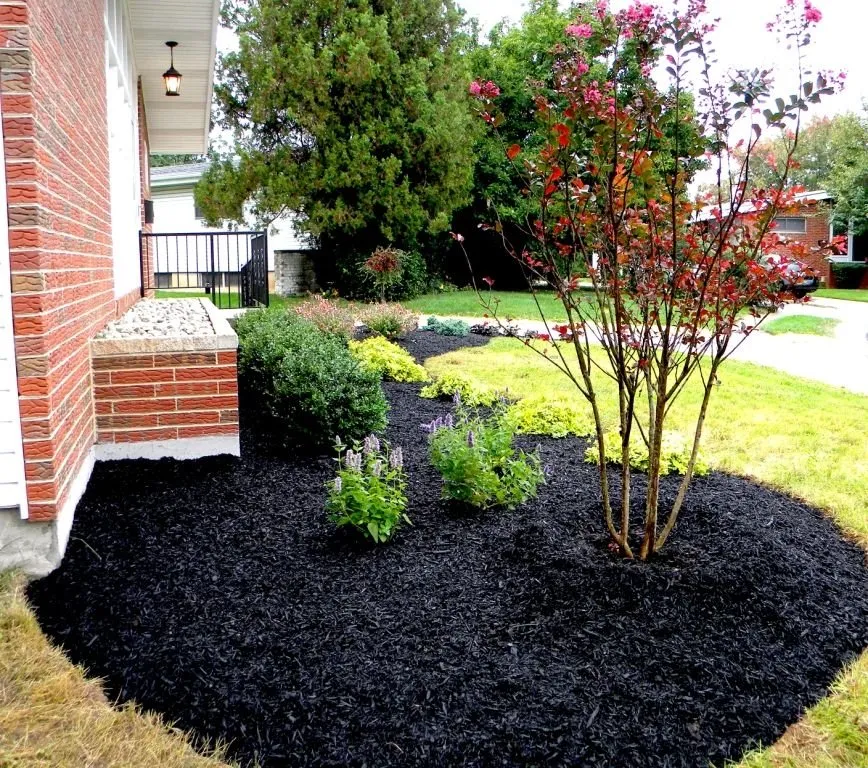 Top-rated yard maintenance experts serving El Dorado, AR - Aguilar Landscaping