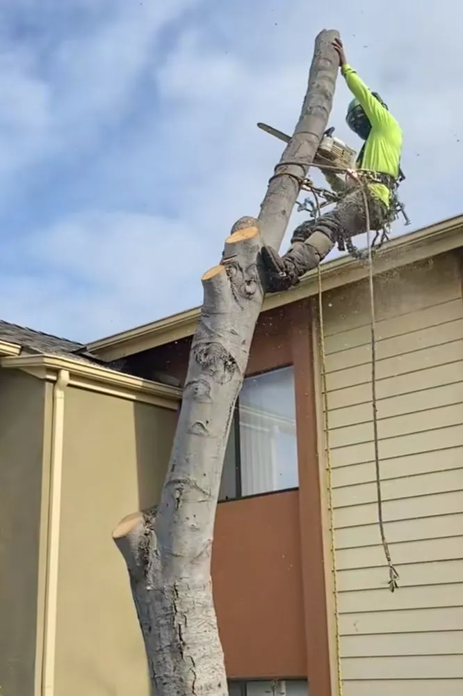 Custom landscape design experts serving El Dorado, AR - Aguilar Landscaping