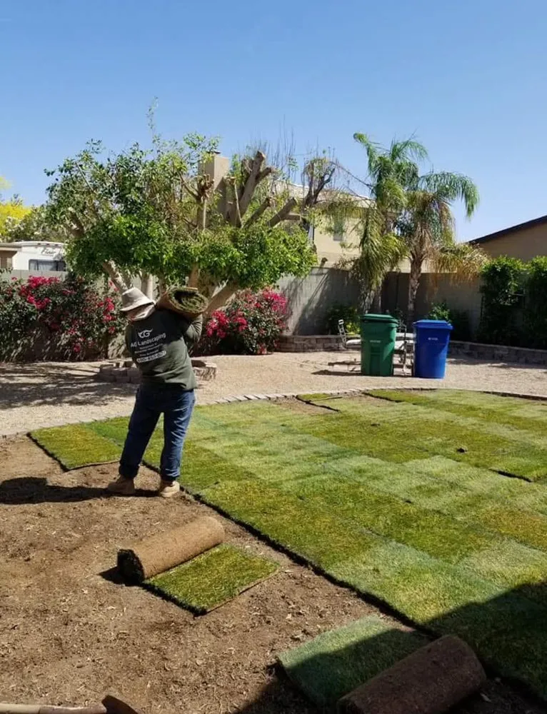 Reliable residential landscaping with custom design across Mesa, AZ - Aguilar landscaping