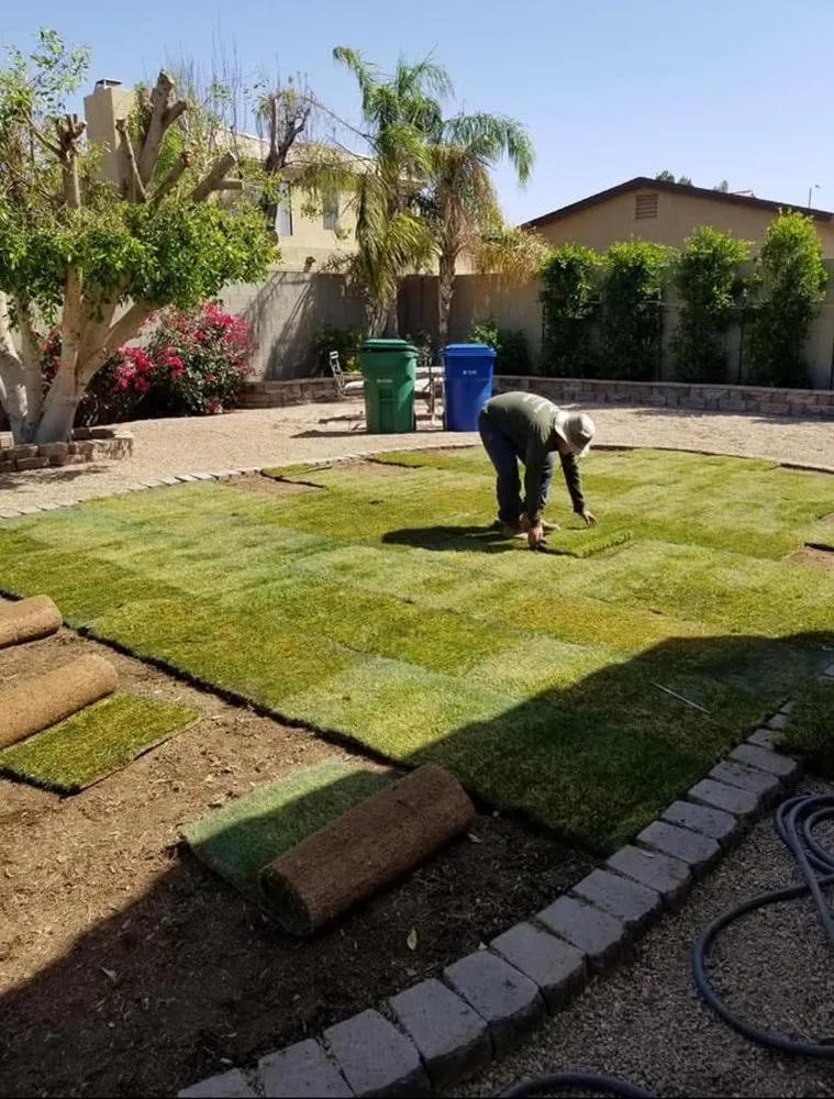 Reliable yard maintenance in Mesa, AZ by Aguilar landscaping