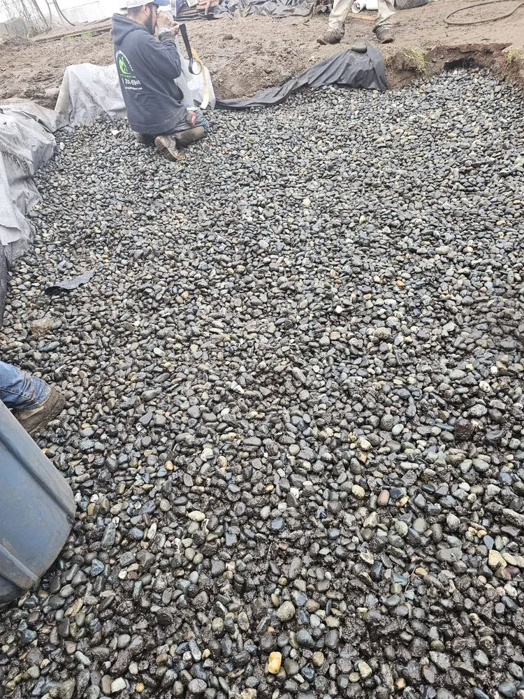 Expert lawn mowing service in Seattle, WA - Aguilar Landscaping