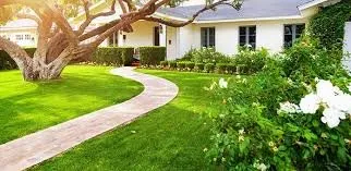 Custom outdoor landscaping near you in Seattle, WA by Aguilar Landscaping