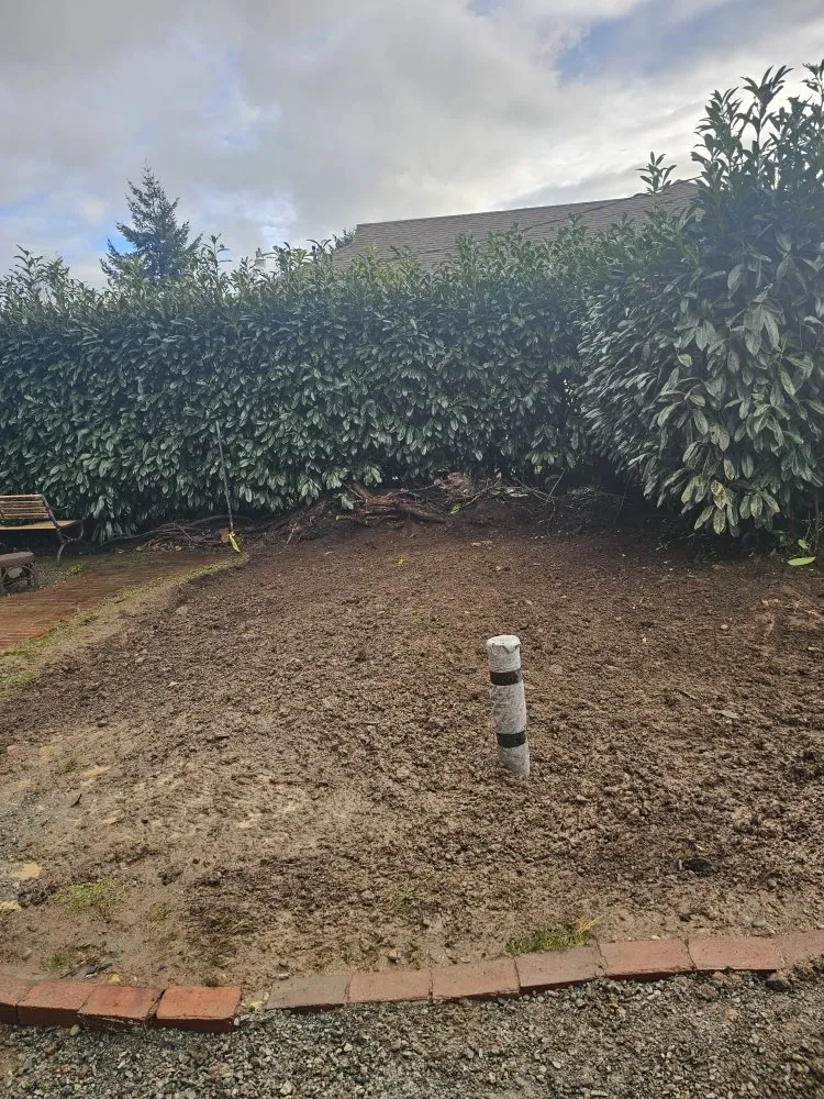 Trusted residential landscaping near you in Seattle, WA by Aguilar Landscaping