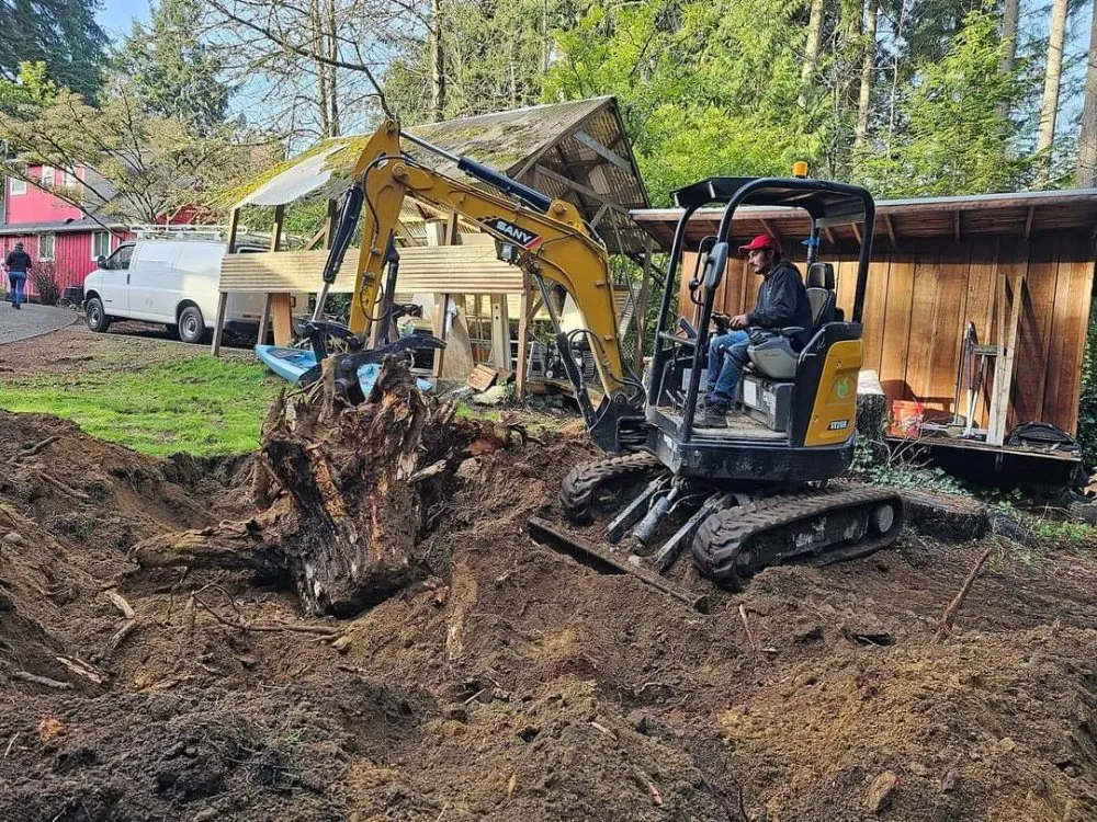 Professional yard cleanup service in Seattle, WA - Aguilar Landscaping