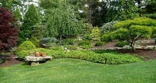 Reliable residential landscaping for beautiful yards across Seattle, WA - Aguilar Landscaping