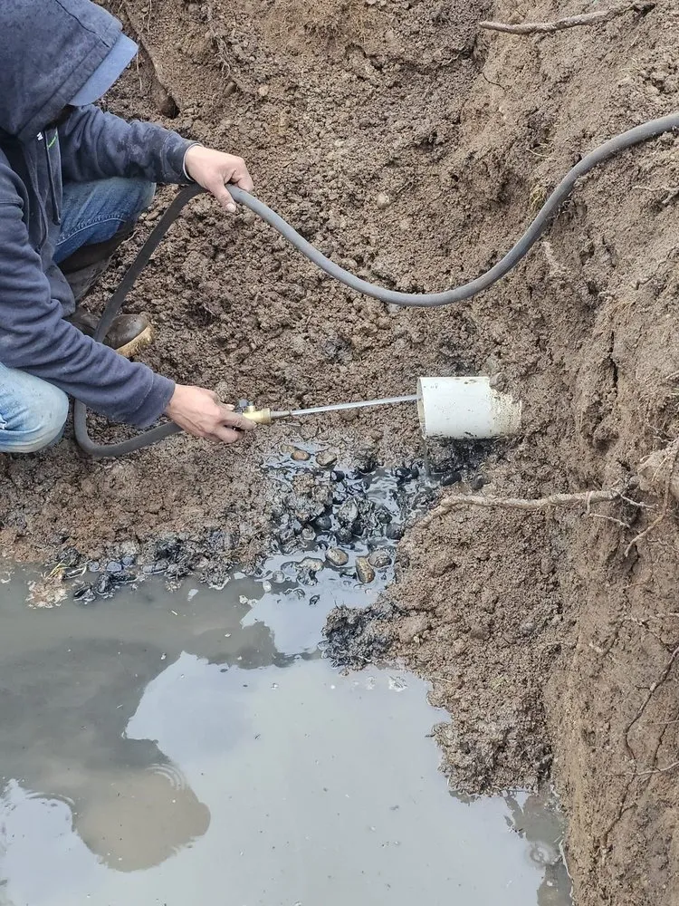 Top-rated landscape installation in Seattle, WA - Aguilar Landscaping