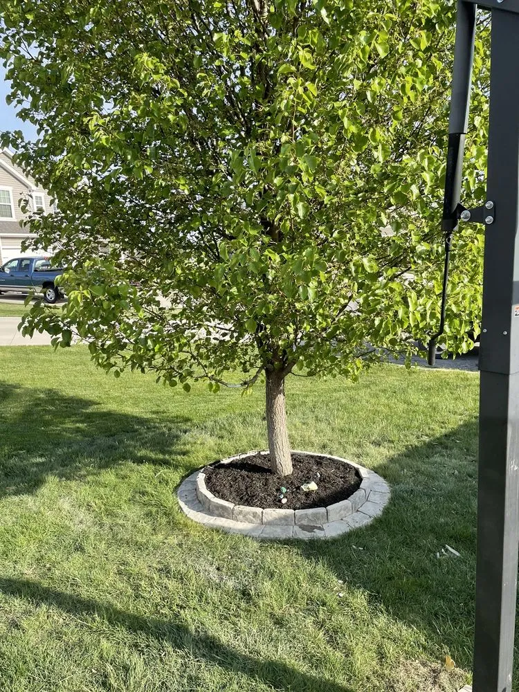 Reliable lawn care service in Fort Wayne, IN - Aguilar Landscaping service