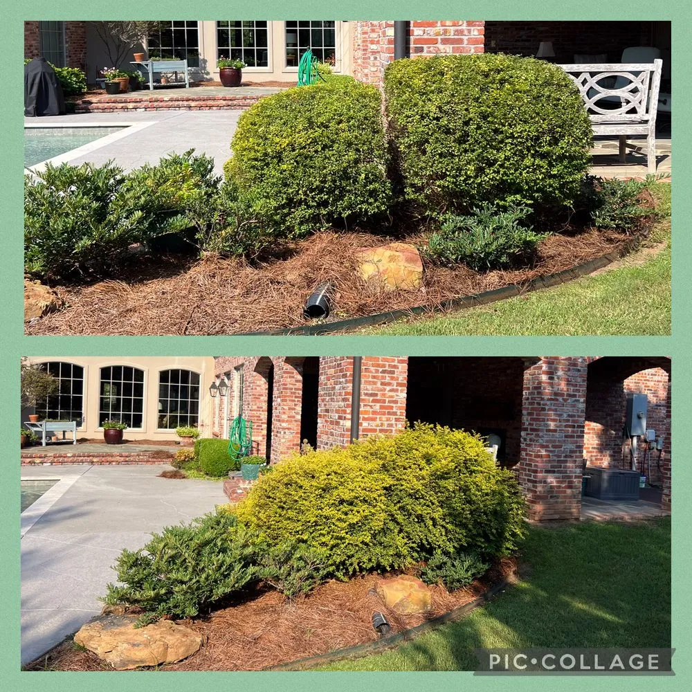 Local garden landscaping in Shreveport, LA by Aguilar Lawn & Landscape