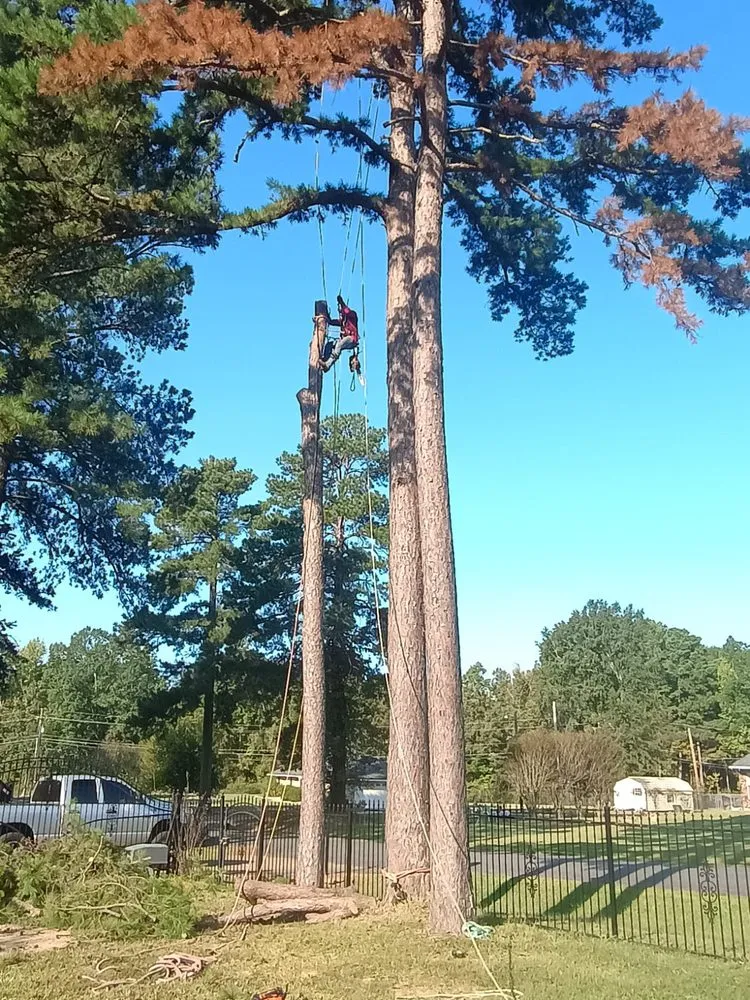 Professional yard cleanup service for residential properties across Shreveport, LA - Aguilar Lawn & Landscape