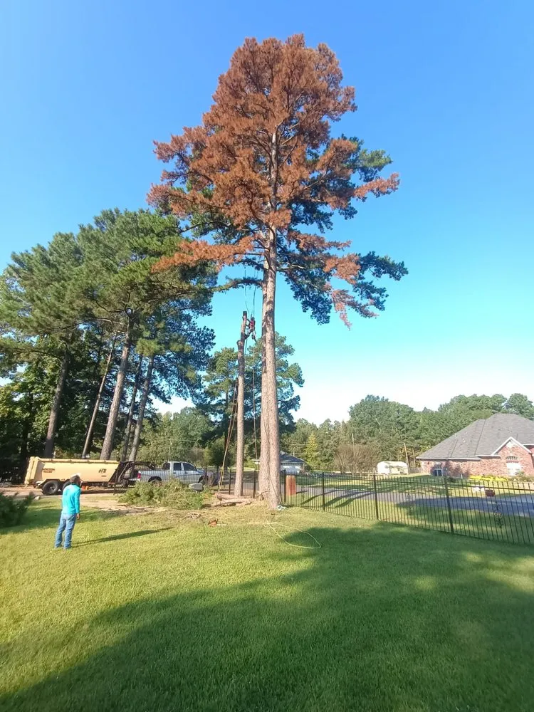 Custom landscape installation near you across Shreveport, LA - Aguilar Lawn & Landscape