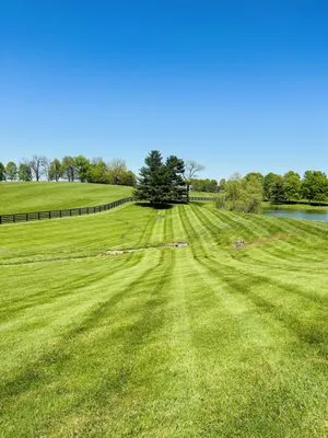 Aguilar lawn care Logo