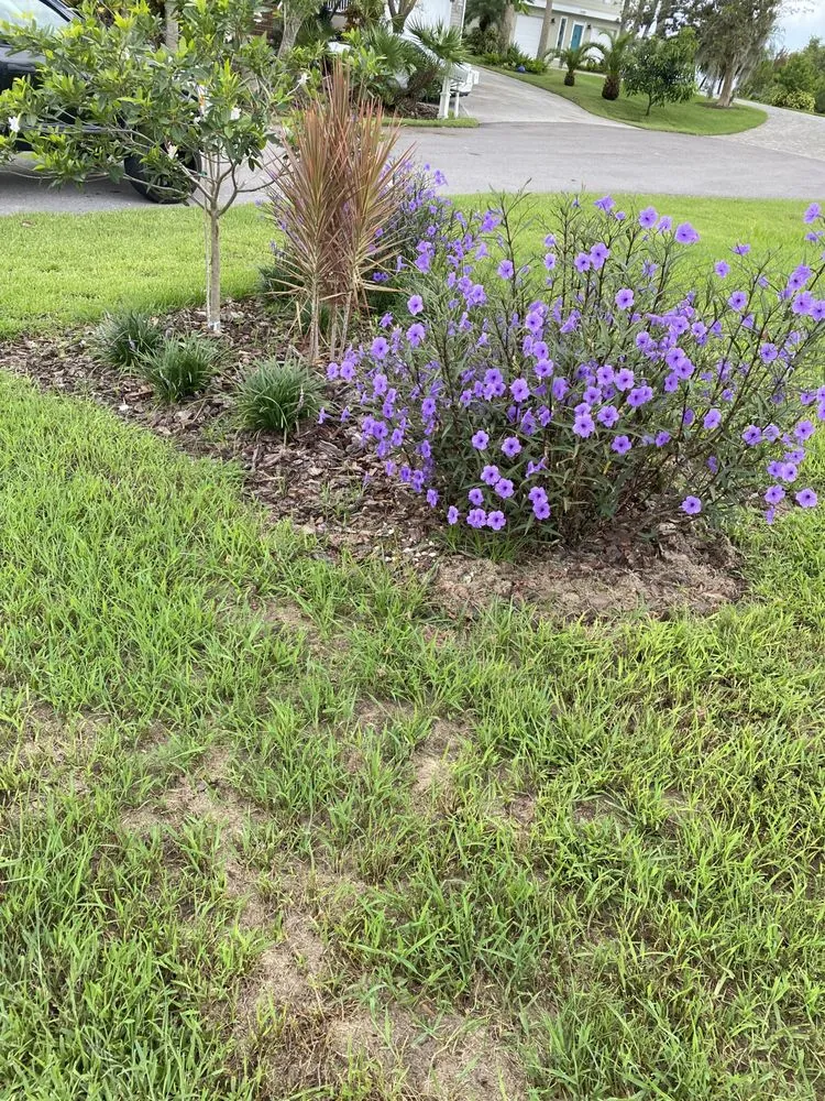 Professional residential landscaping for year-round maintenance in Port Charlotte, FL by Aguilar Lawn Care
