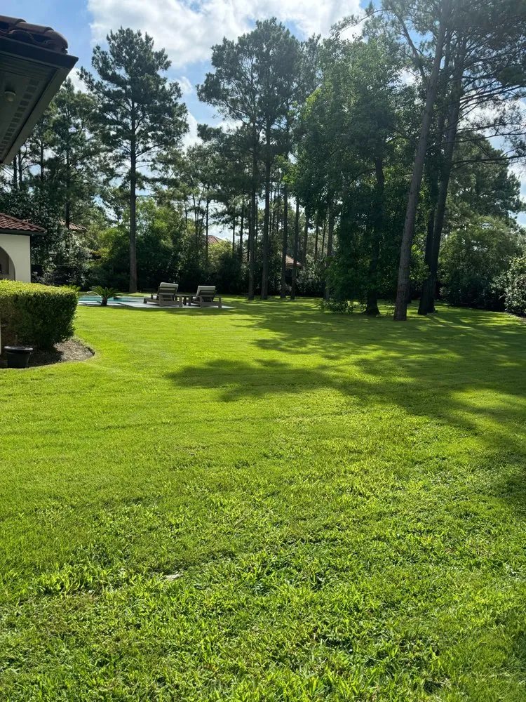 Custom lawn mowing service in The Woodlands, TX - Aguilar Lawn Service & Landscaping