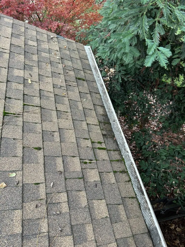 Trusted landscape installation in Antelope, CA by Aguilar Lawncare