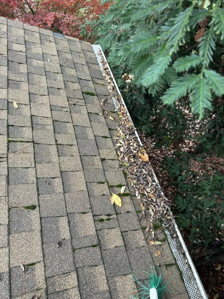 Custom lawn care service in Antelope, CA by Aguilar Lawncare