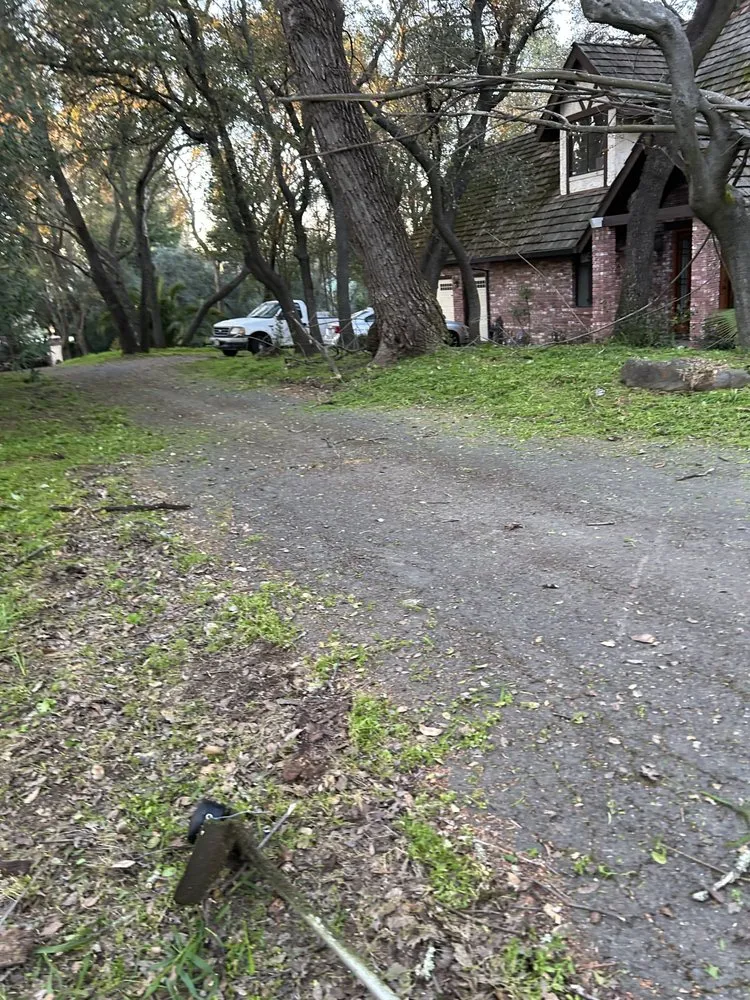 Reliable landscape installation for outdoor upgrades in Antelope, CA by Aguilar Lawncare