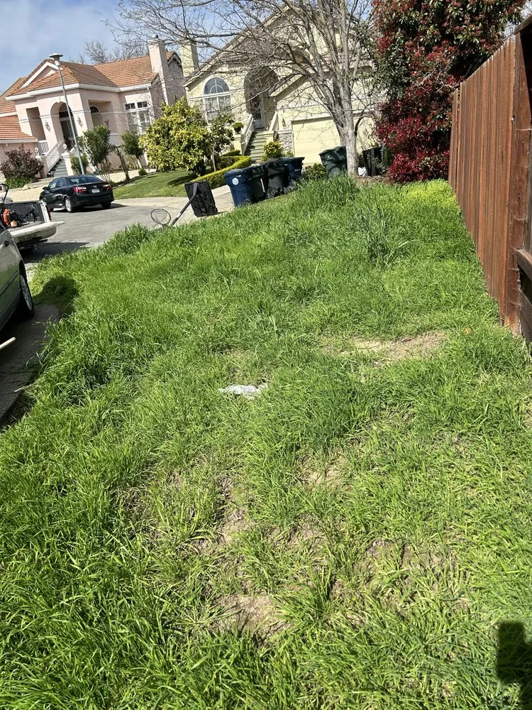 Affordable yard maintenance experts serving Antelope, CA - Aguilar Lawncare
