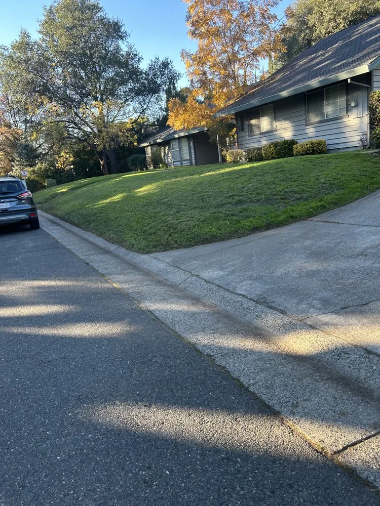 Reliable landscape installation experts serving Antelope, CA - Aguilar Lawncare