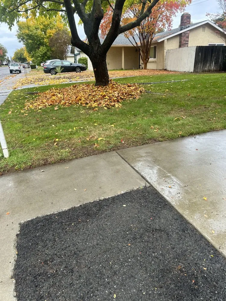 Trusted yard cleanup service for residential properties in Antelope, CA by Aguilar Lawncare