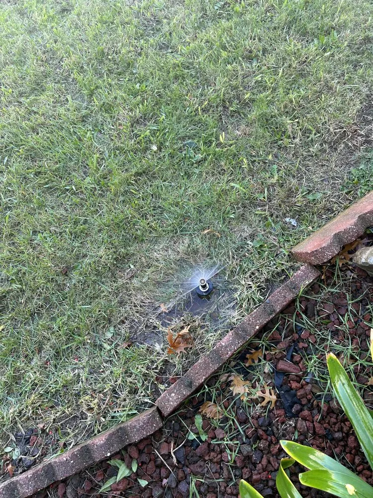 Custom landscape installation experts serving Antelope, CA - Aguilar Lawncare