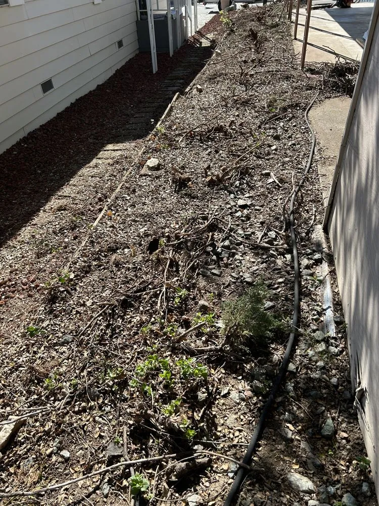 Professional residential landscaping with custom design in Antelope, CA by Aguilar Lawncare