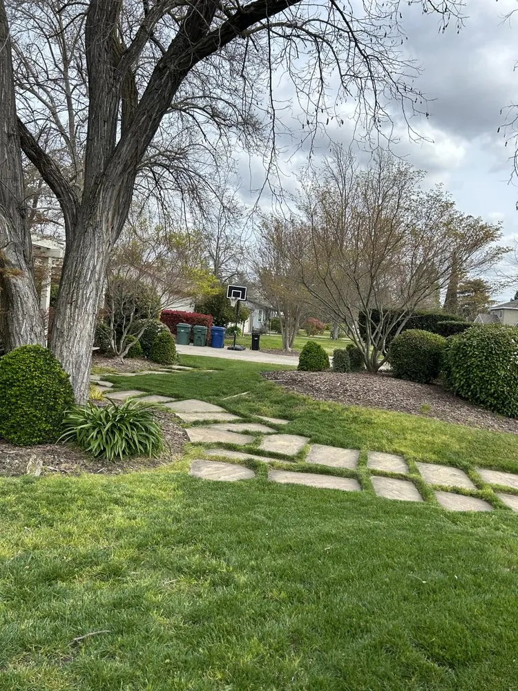 Professional garden landscaping experts serving Antelope, CA - Aguilar Lawncare