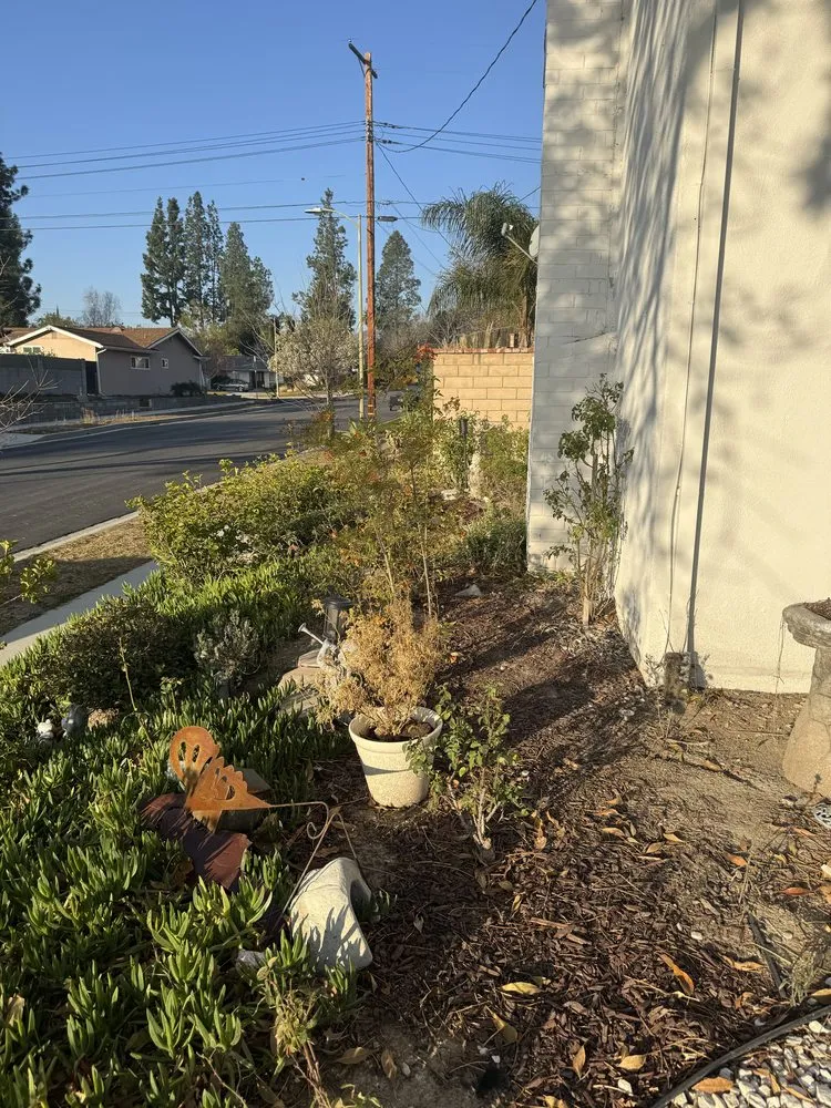Custom garden landscaping experts serving Chatsworth, CA - Aguilar Lawncare