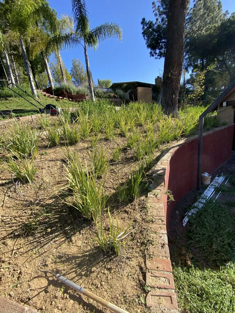 Local residential landscaping for homes across Chatsworth, CA - Aguilar Lawncare