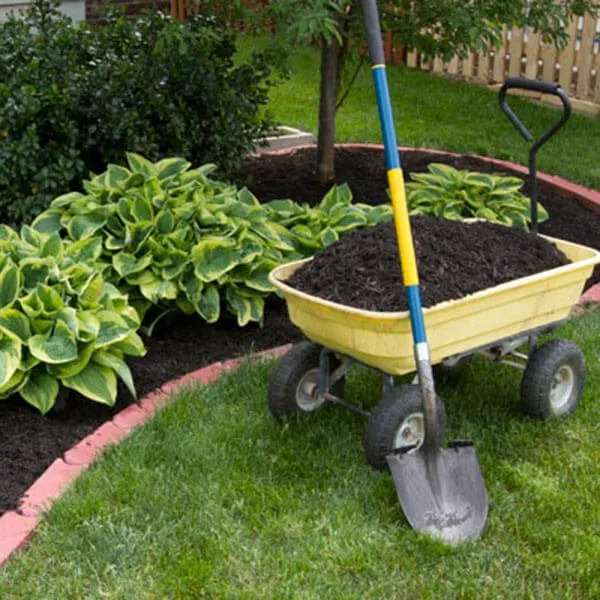 Reliable landscape design in Stuart, FL - Aguilar Lopez Landscaping Services