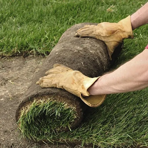 Reliable yard maintenance for beautiful yards across Stuart, FL - Aguilar Lopez Landscaping Services