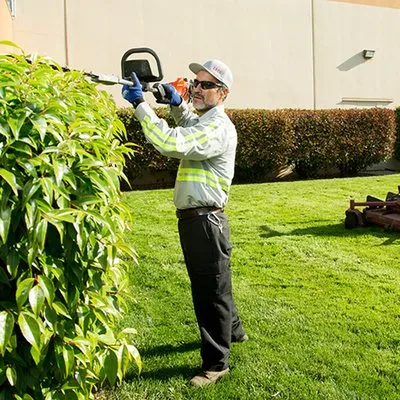 Aguilar Lopez Landscaping Services Logo