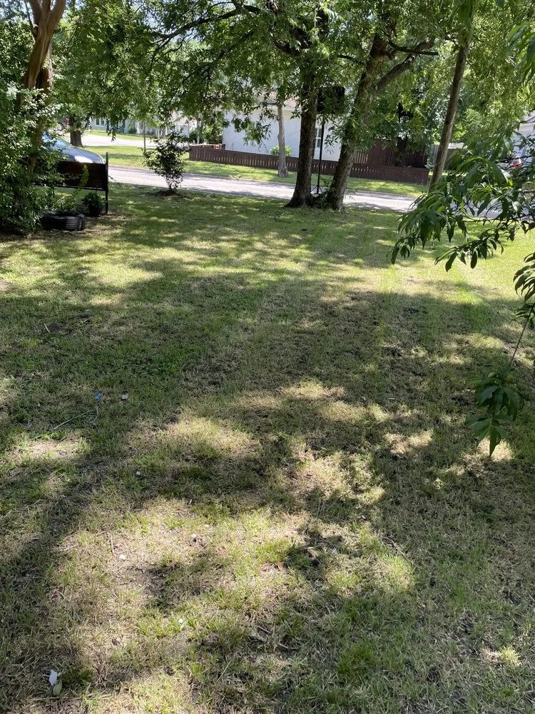 Top-rated yard cleanup service in McKinney, TX - Aguilar Mowing