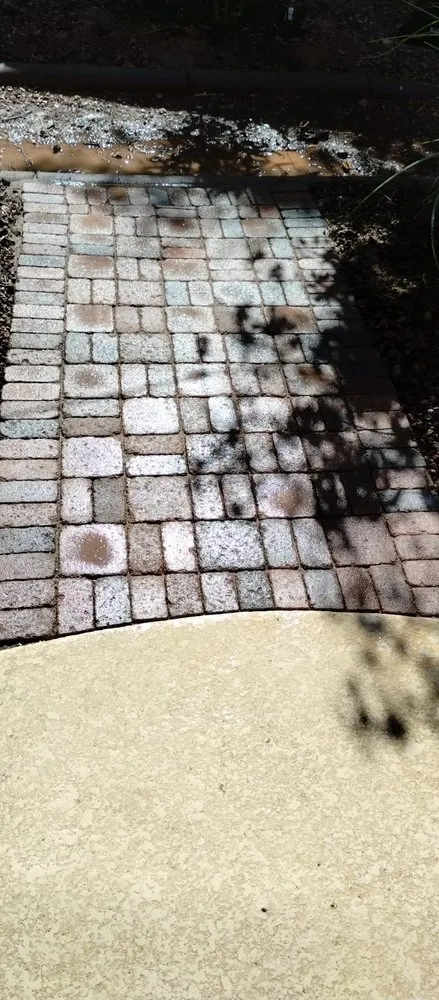 Reliable lawn mowing service for year-round maintenance in Phoenix, AZ by Aguilar Pavmore