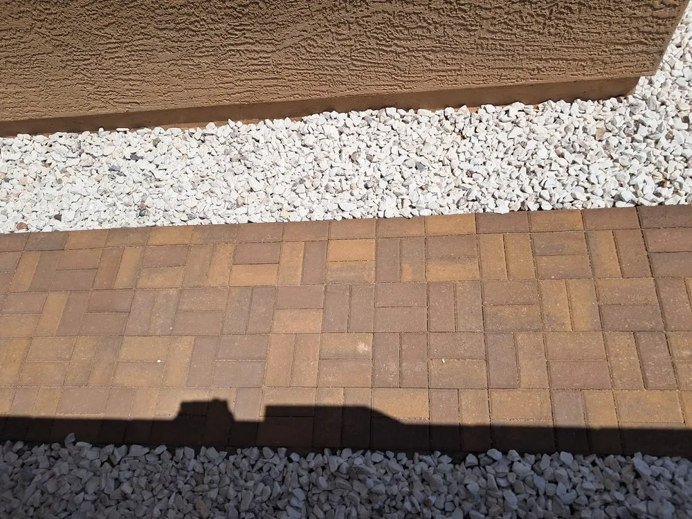 Expert yard cleanup service experts serving Phoenix, AZ - Aguilar Pavmore