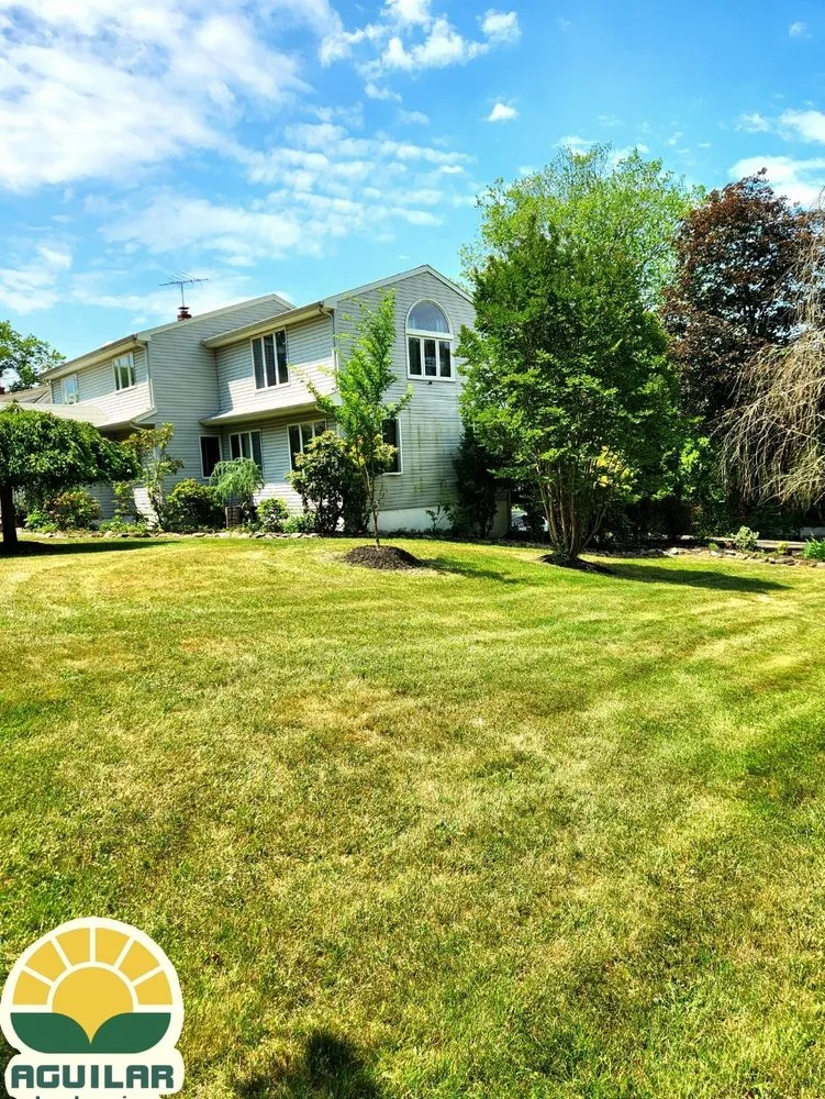 Professional landscape design in Clifton, NJ by Aguilar PMG Landscaping