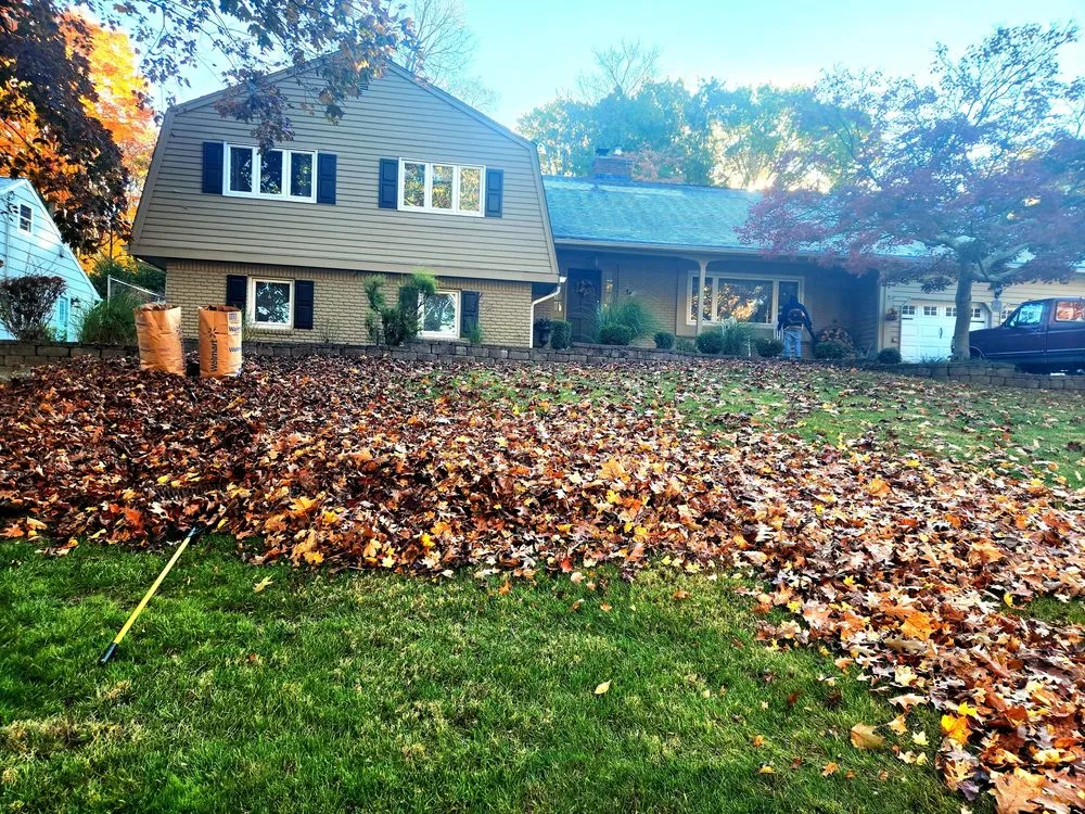 Professional landscaping services in Clifton, NJ by Aguilar PMG Landscaping