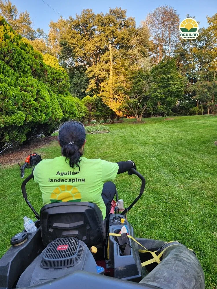 Reliable yard maintenance in Clifton, NJ by Aguilar PMG Landscaping