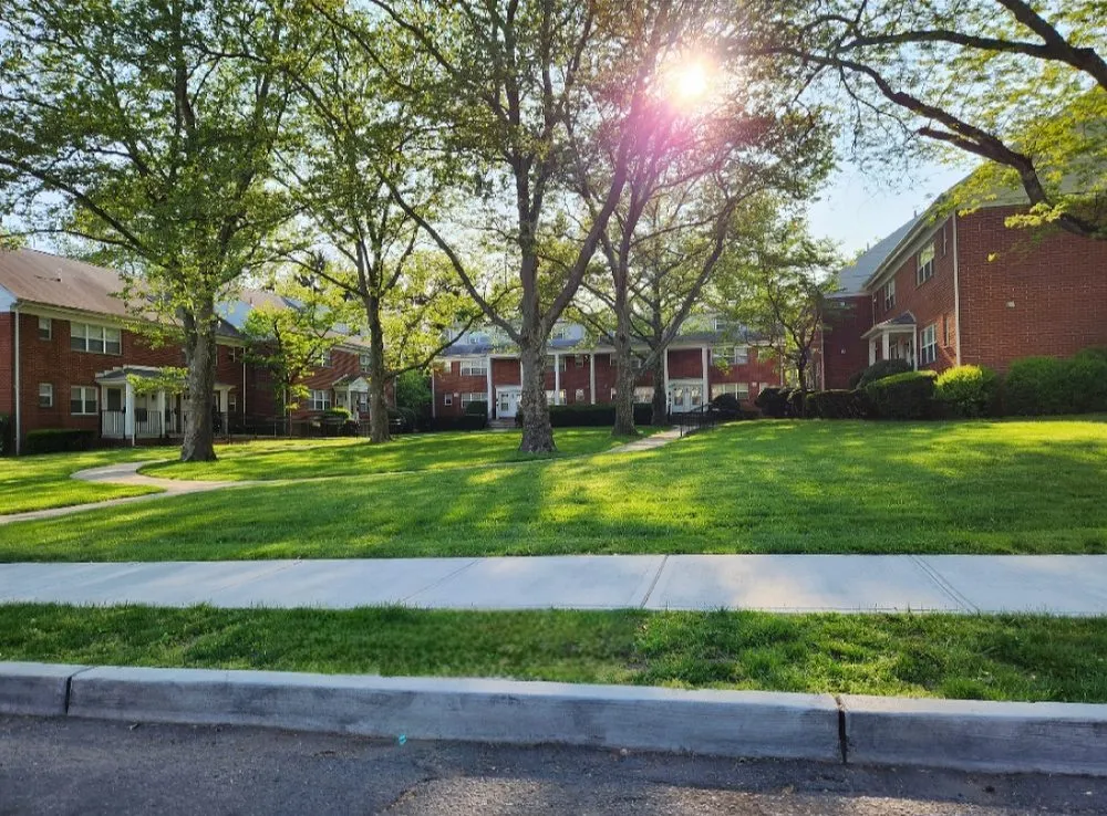 Professional landscape installation in Clifton, NJ - Aguilar PMG Landscaping