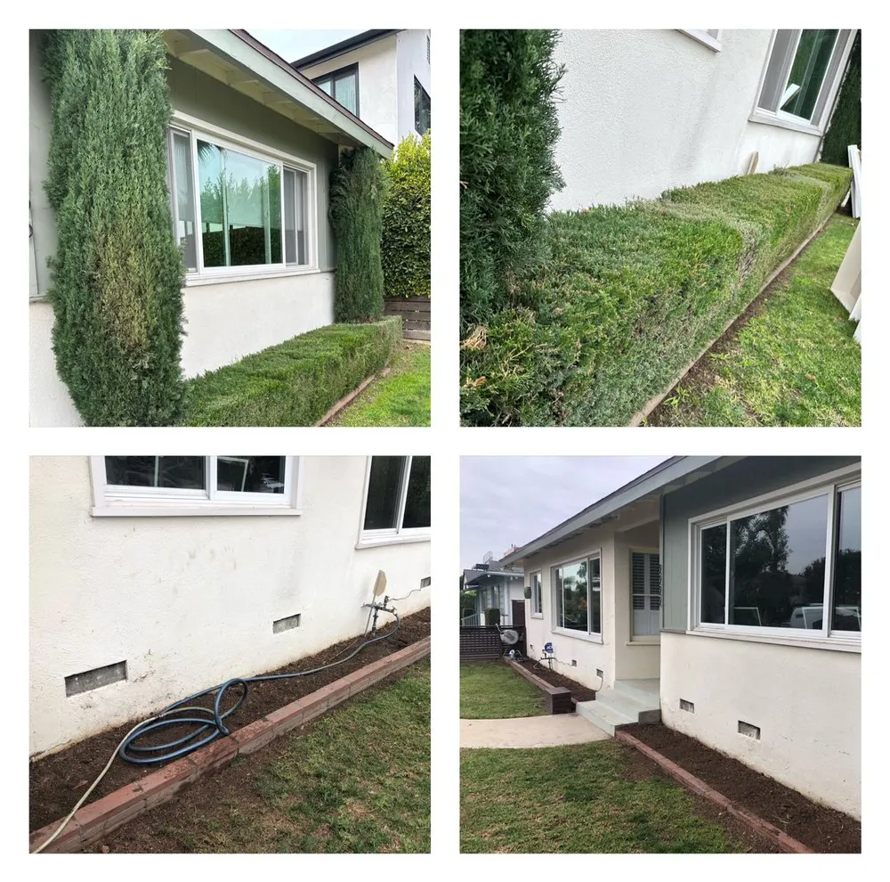 Reliable lawn care service in Altadena, CA - Aguilar Tree & Landscaping