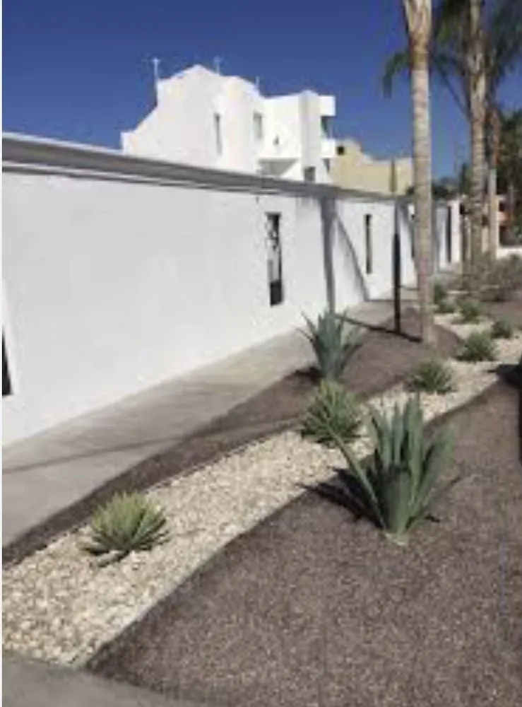 Professional lawn care service experts serving Altadena, CA - Aguilar Tree & Landscaping