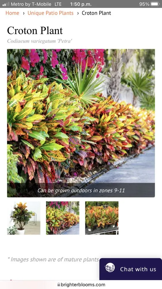 Affordable residential landscaping for residential properties in Altadena, CA by Aguilar Tree & Landscaping