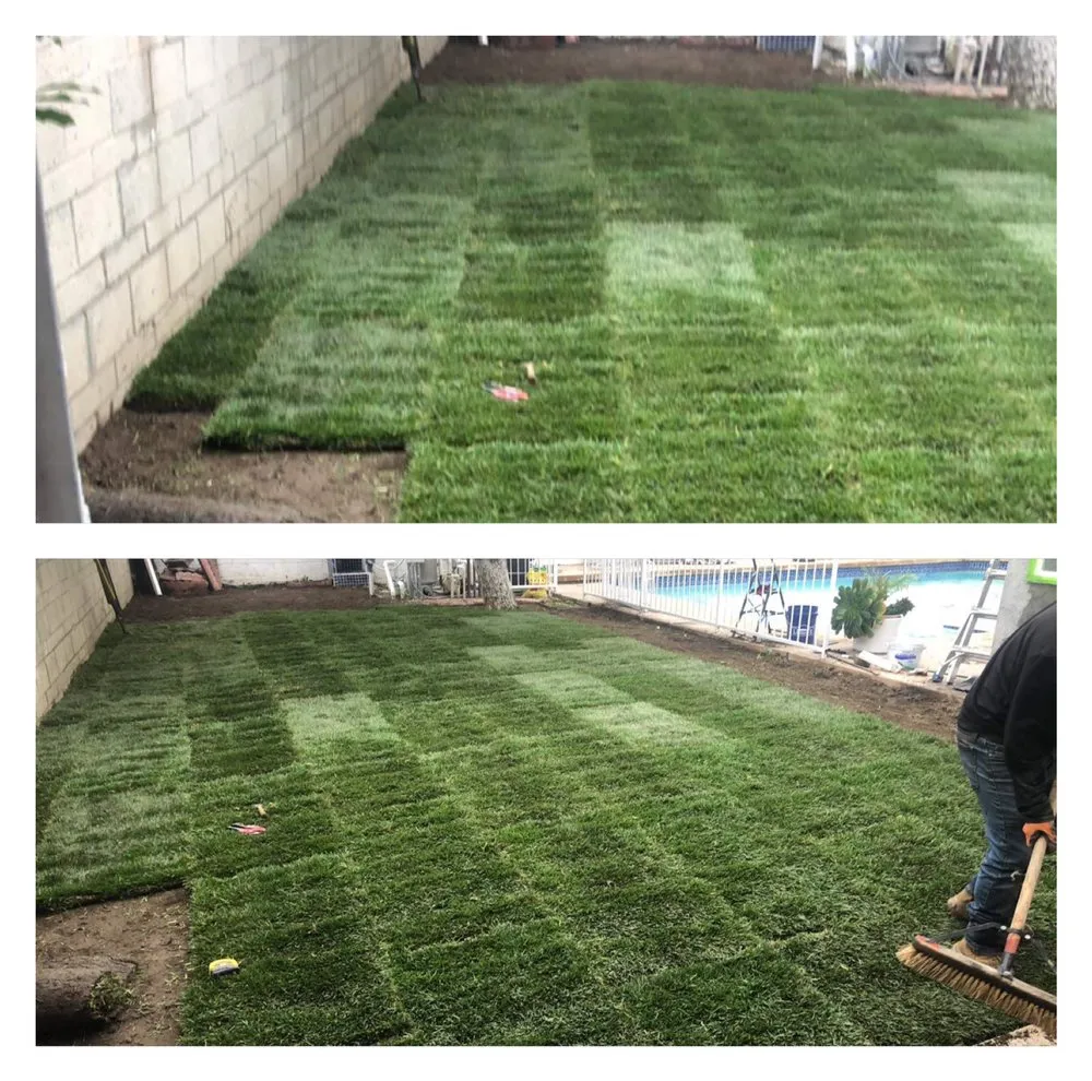 Top-rated lawn mowing service in Altadena, CA by Aguilar Tree & Landscaping