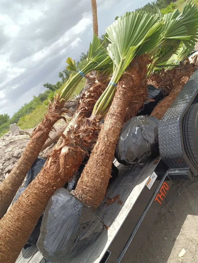 Expert lawn mowing service near you in Altadena, CA by Aguilar Tree & Landscaping