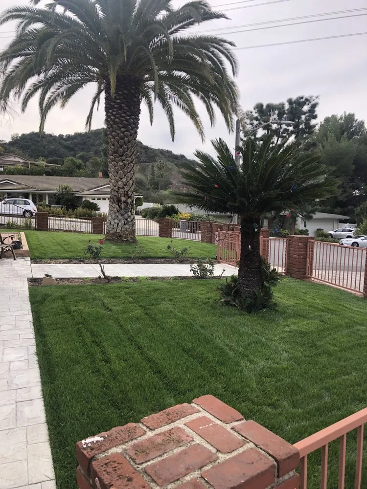 Affordable lawn mowing service in Altadena, CA - Aguilar Tree & Landscaping