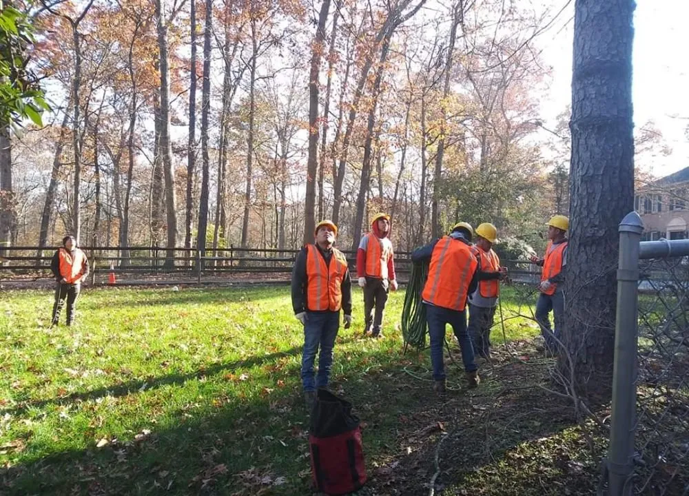 Reliable landscape design with custom design across Culpeper, VA - Aguilar Tree and Landscaping Service